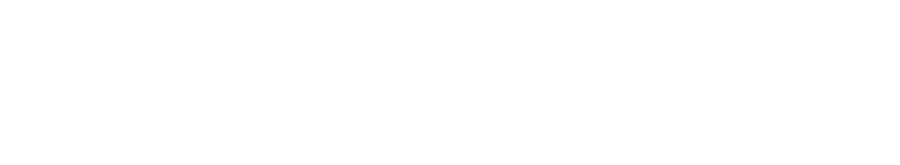 SAPA_White-Reverse-Logo